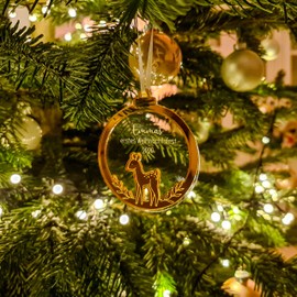Mein erstes Weihnachten Baby Weihnachtskugel mit Name - Baumschmuck REH aus Acryl-Glas (Acryl Gold)