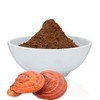SABIA MADRE TIERRA - REISHI 100GR - EXTRACTO EN POLVO