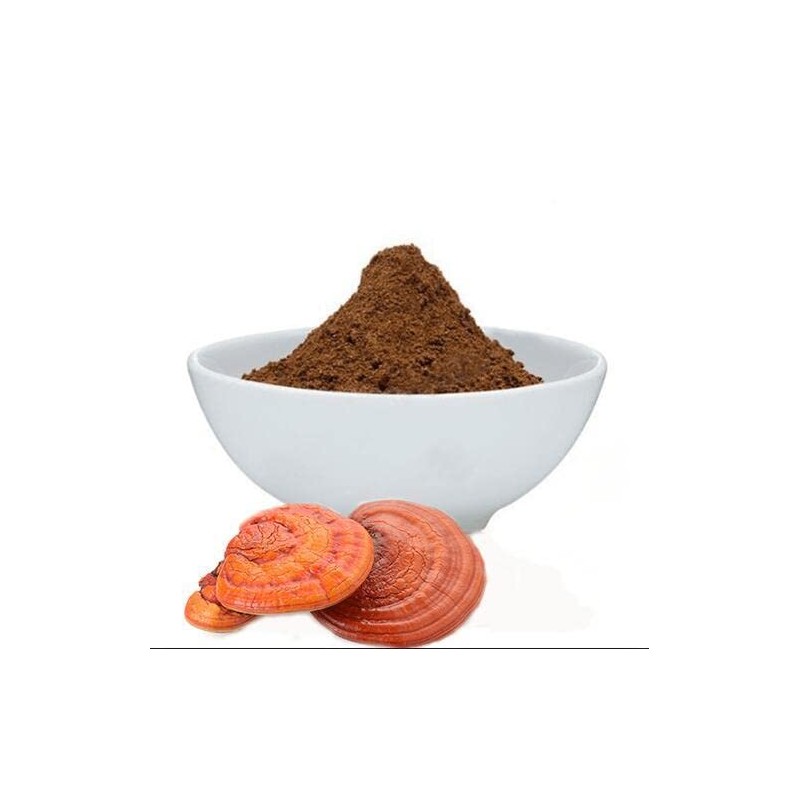 SABIA MADRE TIERRA - REISHI 100GR - EXTRACTO EN POLVO