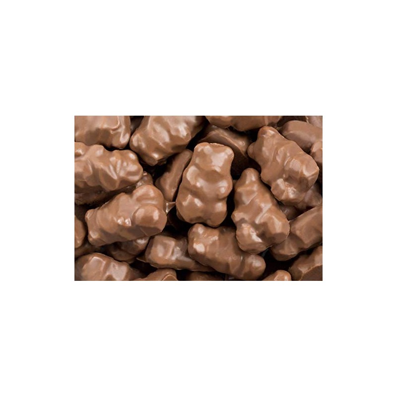 Milk Chocolate Covered Gummy Bears 1 One Pound Bag