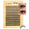 JIMIRE Manga Cluster Lashes Natural Looking 180Pcs Individual Eyelashes Wispy