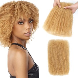 Humistwbiu Afro Kinkys Bulk Human Hair for Dreadlocks Extensions Repair Locs/Twists/Braids 12 Inch 4C Afro Kinky Curly Human Hair 1 Pack 50 Gram 27#