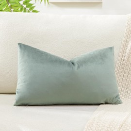 Artscope Luxury Velvet Cushion Covers Super Soft Decorative Throw Pillow Covers Case Lumbar Cushion Cases for Sofa Couch Bedroom Car Decor 30x50cm Light Gray