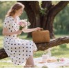 2 Wicker Picnic Basket with Lid Picnic Basket Boxes Small