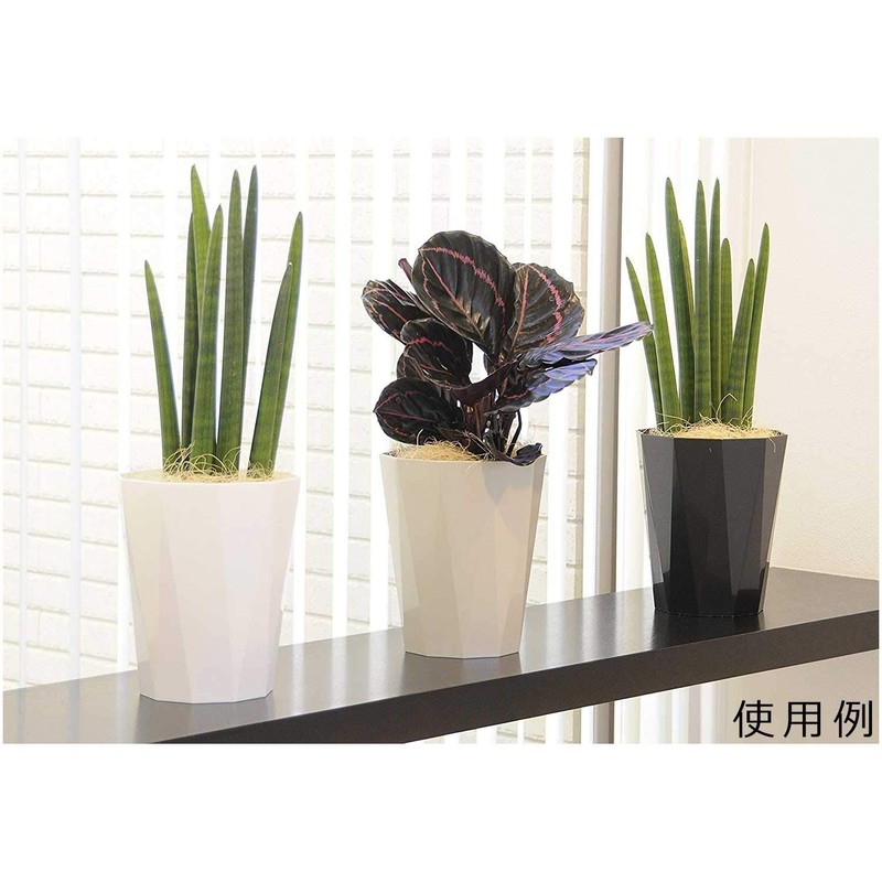 Daiwa Plastic Pot Cover Quartz PBK 180 Pearl Black