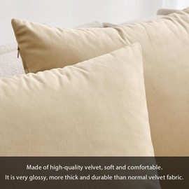 MIULEE Velvet Cushion Covers Soft Decorative Square Throw Pillow Case Pillowcases for Livingroom Sofa Bedroom with Invisible Zipper 18"x18" 45cm x 45cm 2 Pieces Beige