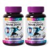 Holidays MSM2000 2 bottles 240 tablets / 홀리데이즈 MSM2000 2병