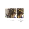 POSH FAITH 930516-K2 Motorcycle Goods Torx Slim Head Bolt (Stainless
