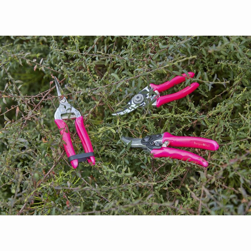 Burgon & Ball FloraBrite RHS Endorsed Bypass Secateur, 21 cm