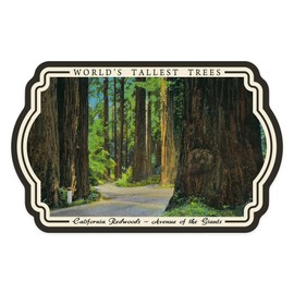 Die Cut Sticker California Redwoods, Avenue of The Giants, Worlds Tallest Trees, Vintage Art Vinyl Sticker 1 to 3 inches (Waterproof Decal for Cars, Water Bottles, Laptops, Coolers), Small