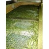 2024 New Tea Tea Hinokuchien Special - Chiran - Gotake