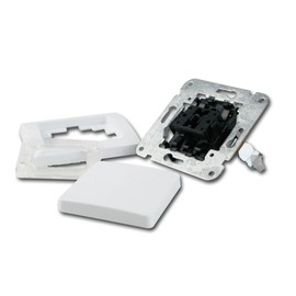 Delphi Double-Throw Switch White Set of 8 250 V/10 A