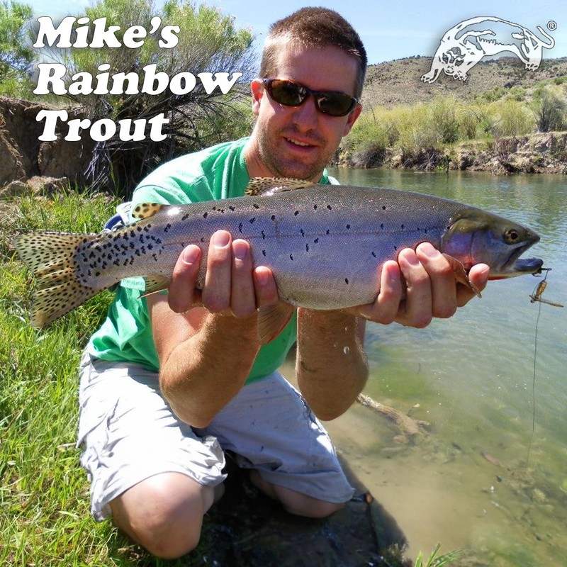 Panther Martin 2PMF-SO Fly Spinner, Silver/Orange