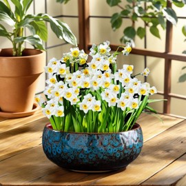 MaiQidd Lotus Bowl Planter, Lotus Bowls for Planting in Water Indoors, Bonsai Bowl Lotus Flower Seeds, Ceramic Planters for Indoor Plants (Blue)