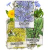 Seed Needs, Dandelion Seed Packet Collection (3 Varieties of Seeds