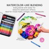 12 Colors Water Soluble Pastels, Watercolor Pastels Set for Beginners