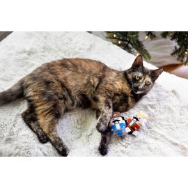 Pearhead Holiday Nutcrackers Cat Toy Set, Christmas Pet Owner Gift, Interactive Play Crinkle and Rattle Toys with Catnip Pouch, Holiday Cat Toy Set of 2