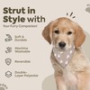 Cali and Coop Birthday Dog Bandana Pack 2 - Neutral