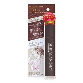 Treatment Hair Dye Silaganese Point Rich Color EX Partial Gray Hair Dye 0.7 oz (20 g) Mocha Brown