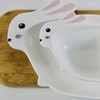 YBK Tech Cute Ceramic Rabbit Plate for Easter or Daily