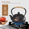 Japanese Style Cast Iron Teapot with 4 Tea Cups Trivet
