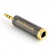 BlueRigger 1-Pack 3.5mm to 1/4 Adapter (TRS 1/8 to 1/4