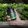 Suplementos Domos Billones Probióticos Inulina Agave Cepas 120 Cápsulas