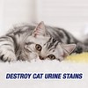 Resolve Urine Destroyer Pet Urine Stain and Odor Remover Spray,