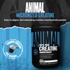 Animal Creatine Monohydrate Powder - Micronized Creatine for Women and