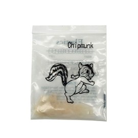 Bandas de goma ortodoncia dental ortodoncia elástica suministro ortodoncia (1/8", 3.5 oz)