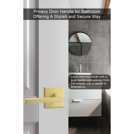 goldenwarm Brushed Gold Interior Door Handles, Gold Door Handle Interior, Gold Privacy Lever Door Handle, Heavy Duty Interior Door Levers, Contemporary Gold Bathroom Door Handles(6 Pack)