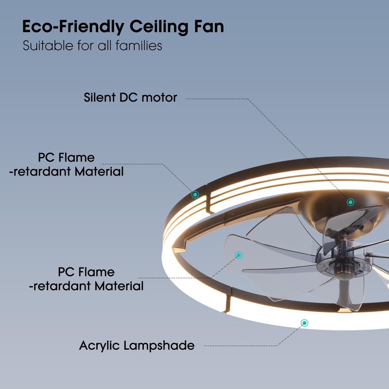 LUDOMIDE 24 Inch Ceiling Fans with Lights and Remote, Modern