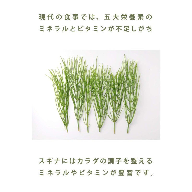 すぎな粒 スギナ粉末タブレット 120粒 x 2 湯布院産 国産無農薬 スギナ茶粒