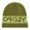 Oakley Men's Thermonuclear Protection Reversible Beanie, Fern/Light Green, One Size