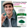 Alga Espirulina 100 Pura Rica En Nutrientes Y Antioxidantes