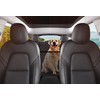 GXT Dog Back Seat Cover Protector for Cars SUV and