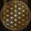 Flower of Life Sticker 9 cm with Protective Varnish Transparent