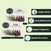 Pine Incense Cones - Dual Pack of 10 - Scented