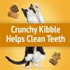 Purina Friskies Cat Treats, Party Mix Cheezy Craze Crunch -
