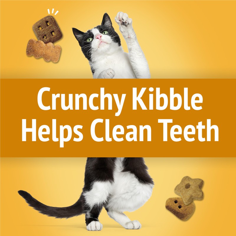 Purina Friskies Cat Treats, Party Mix Cheezy Craze Crunch -
