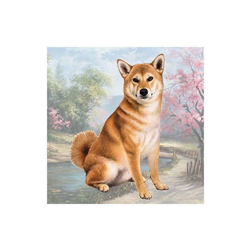 Shiba Inu Absorbent Stone Coaster - Cork Back helps prevent