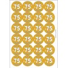 Hooray 75 Seventy Five Seventy Fifth 75th Birthday Circular Matt