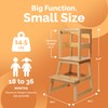 SDADI Kids Kitchen Step Stool with Safety Rail, 150lb Capacity,