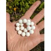 RAYON White Shell Tridacna bead bracelet Men Stretch 12mm 7,