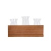 Better Homes and Gardens 3 Beaker Propagation Station, Beige Wood