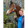 Equipride Rainbow Coloured Headcollar With Matching Lead Rope Chrome Fitting