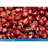BSD Organics Hot Spicy Round Red Chilli Whole / Milaka / Paprika / Mirch Spice (50 Gram / 1.7 Ounce)