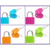 Suitcase Locks Padlocks, Small Luggage Locks with Keys with Outdoor