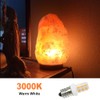 XRZT LED Night Light Bulbs - C7 E12 Led Bulb