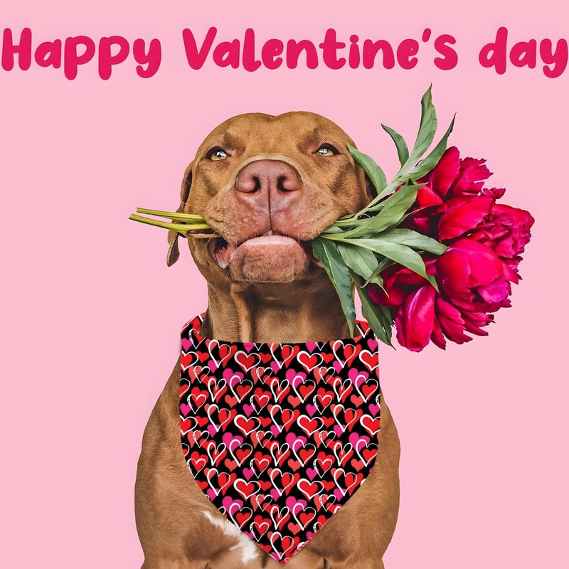 Valentines Dog Bandana Reversible Triangle Bibs Scarf Mother's Day Bandanas